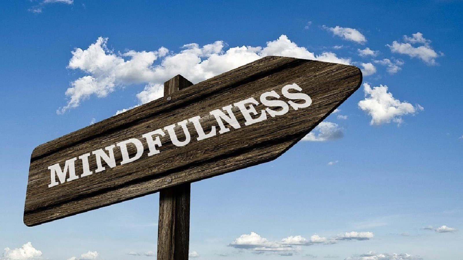 Mindfulness: atención plena para el bienestar