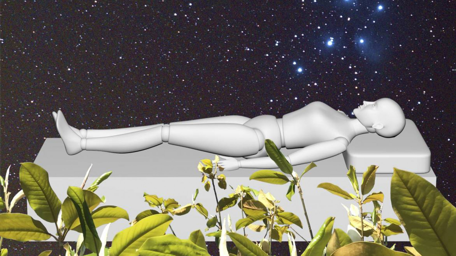 'The Pleiades', de Elena Bajo. 2016-2020