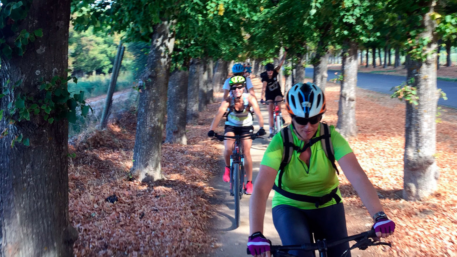Rutas en bicicleta por los bosques emblemáticos de la Comunidad de Madrid